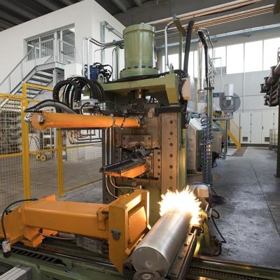 Next Extrusion (Nardò Extrusion Technology)