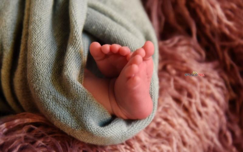 Gallery studiotre di Michele Armento