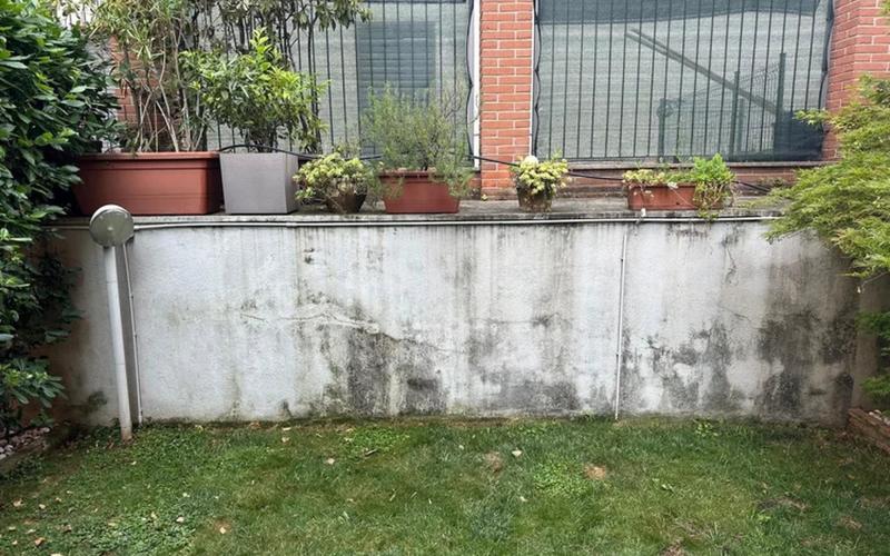 Rimozione graffiti con tecnologie sostenibili, rapide ed efficienti