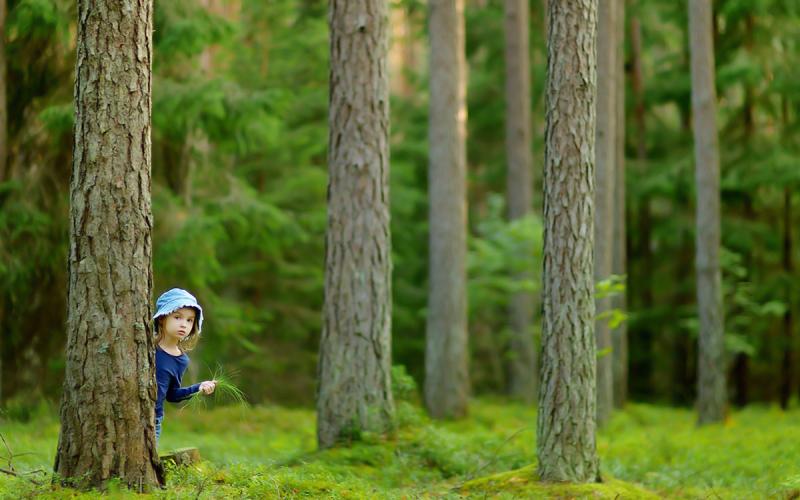 Alberi di una foresta, con una bambina che si affaccia da dietro un tronco di un albero mentre sta giocando